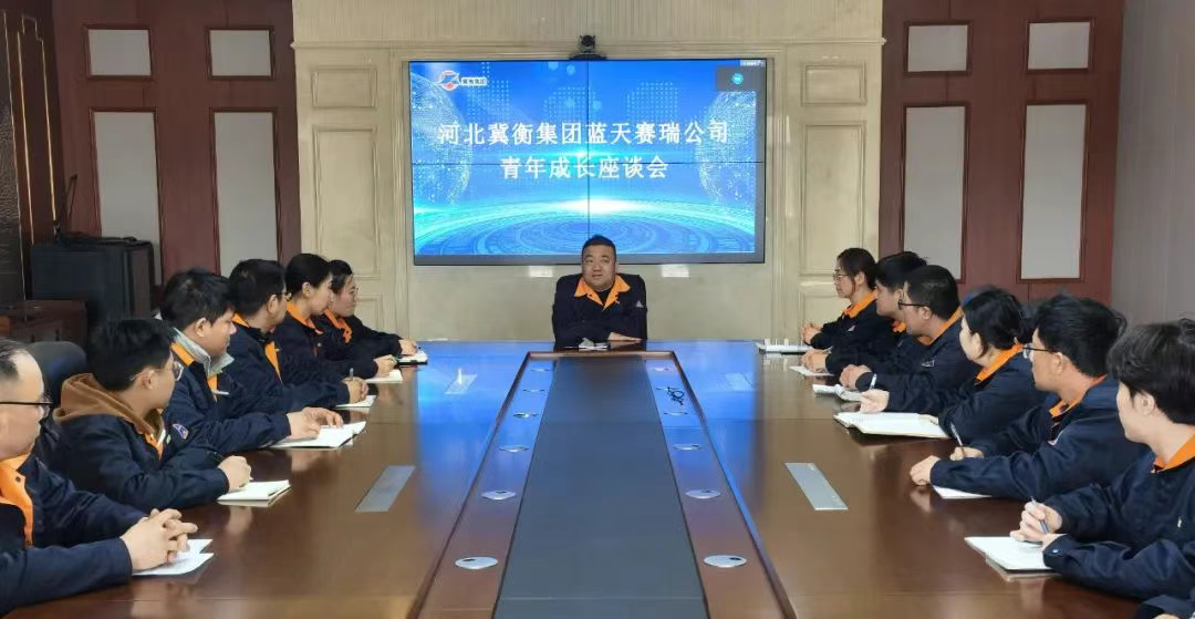 凝聚青春力量，共话成长未来——冀衡集团蓝天赛瑞公司举办新入职青年员工成长座谈会]